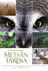 MetsanTarina_1.jpg